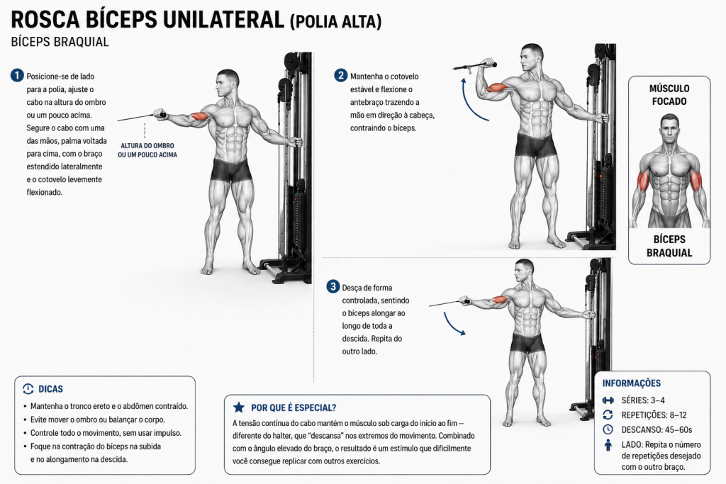Os 9 melhores exercícios de bíceps para hipertrofia (Guia completo 2026)