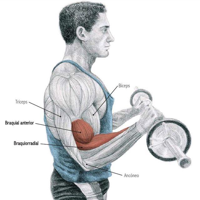 5 Exercícios para Bíceps EM CASA - Treino de Bíceps Para Fazer em CASA!
